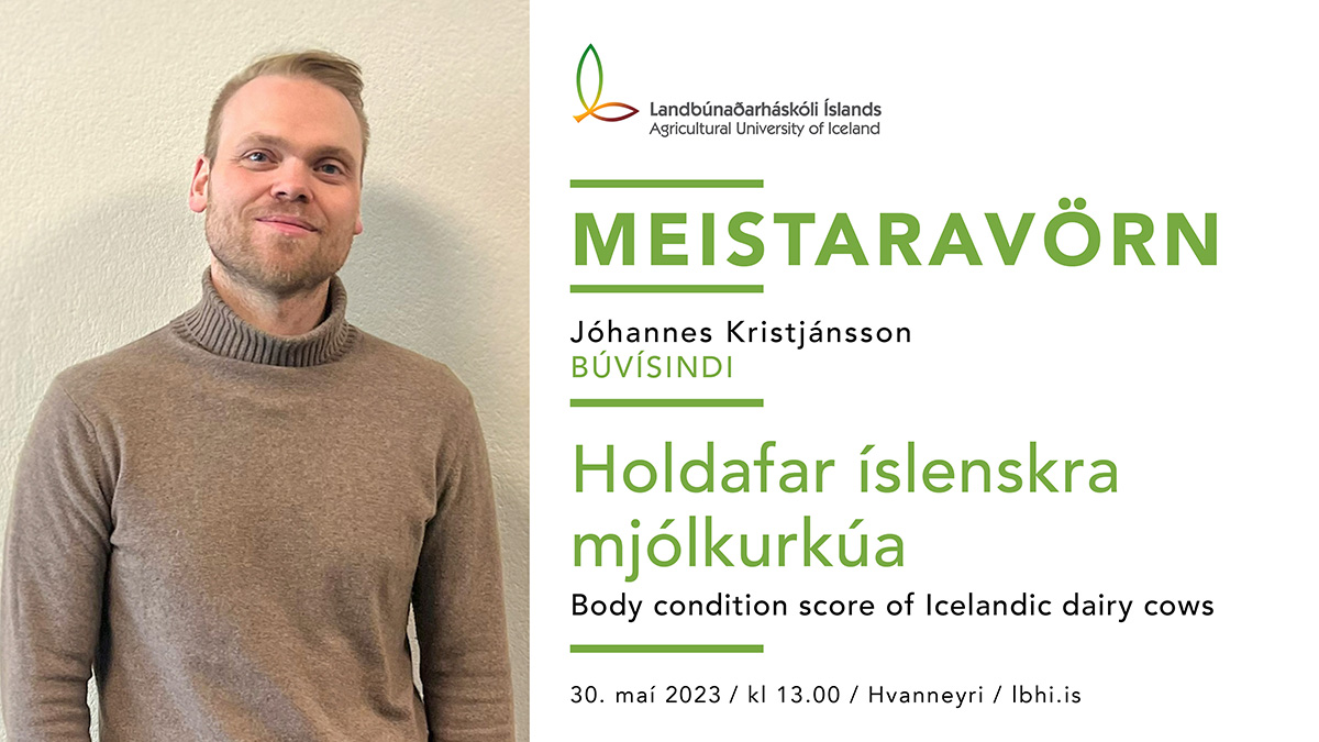 Jóhannes Kristjánsson ver meistararitgerð sína í búvísindum, Holdafar íslenskra mjólkurkúa