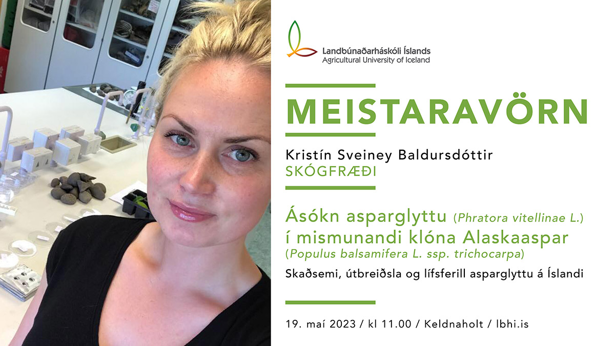 Kristín Sveiney Baldursdóttir ver meistararitgerð sína í skógfræði