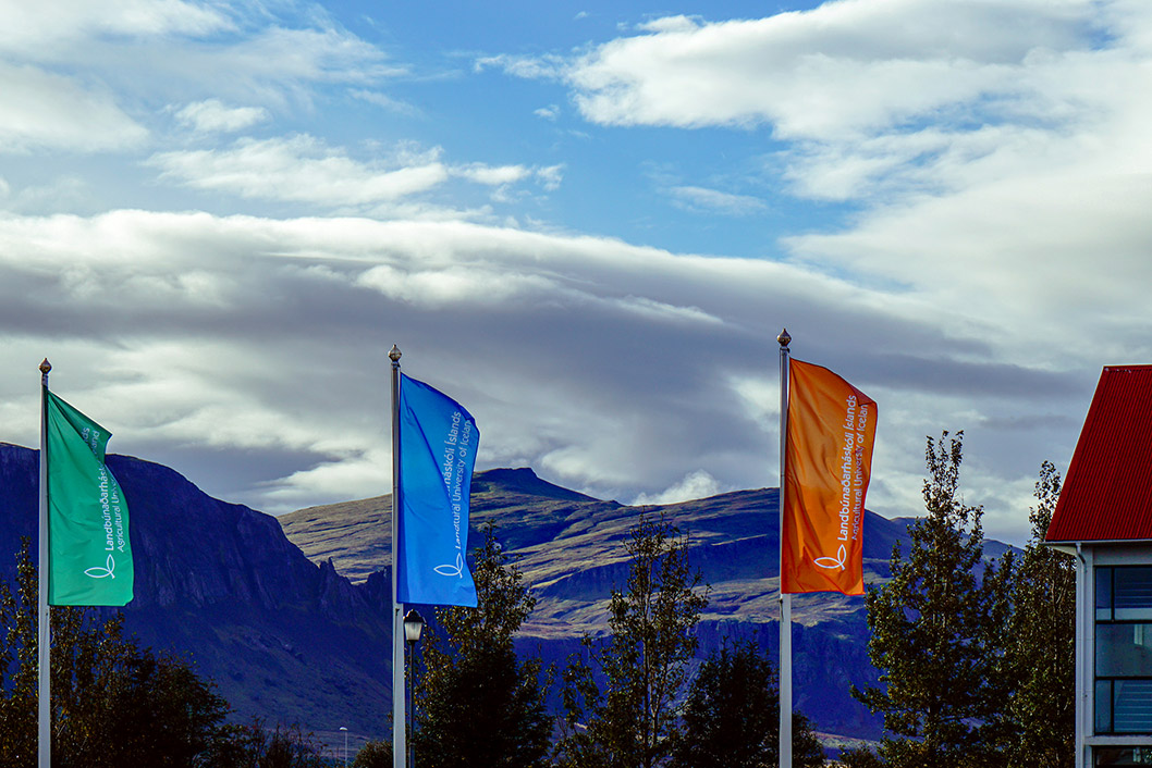 Málstofur framhaldsnema við Landbúnaðarháskóla Íslands